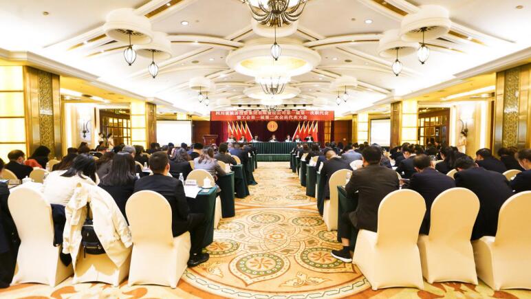 Z6尊龙凯时集团第一届第一次职代会暨工会第一届第二次会员代表大会胜利召开